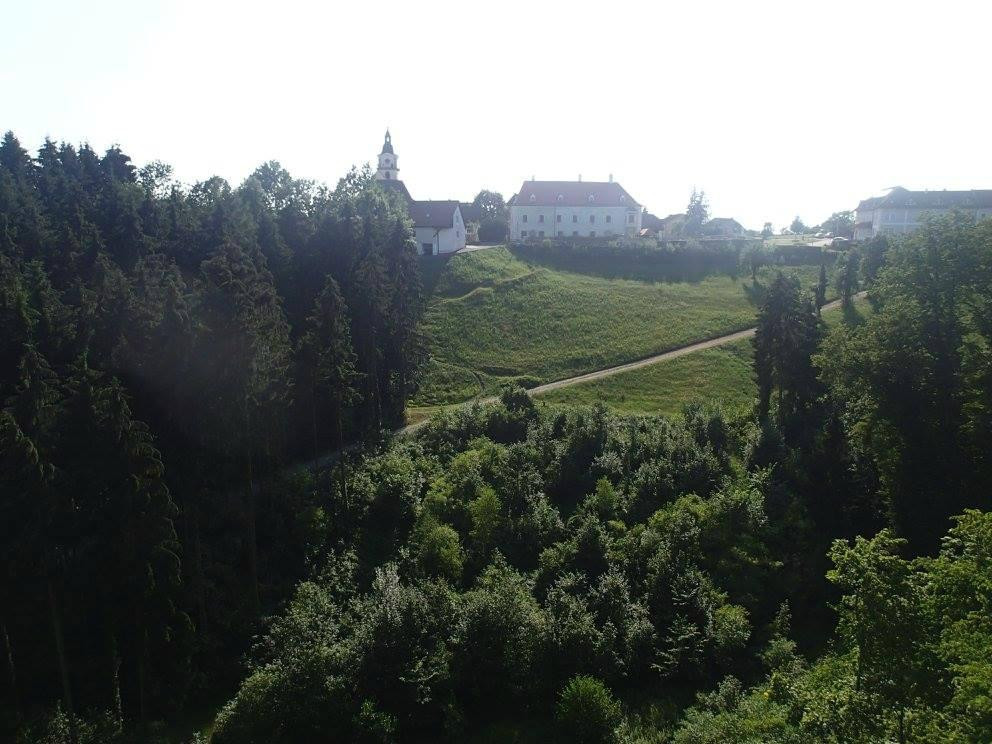 Burgruine Windhaag景点图片