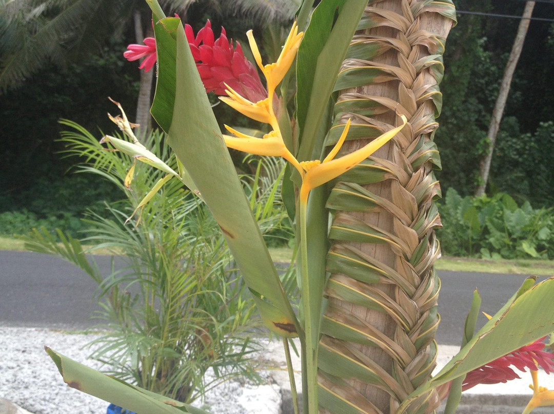 Amouli Beach Fales主图