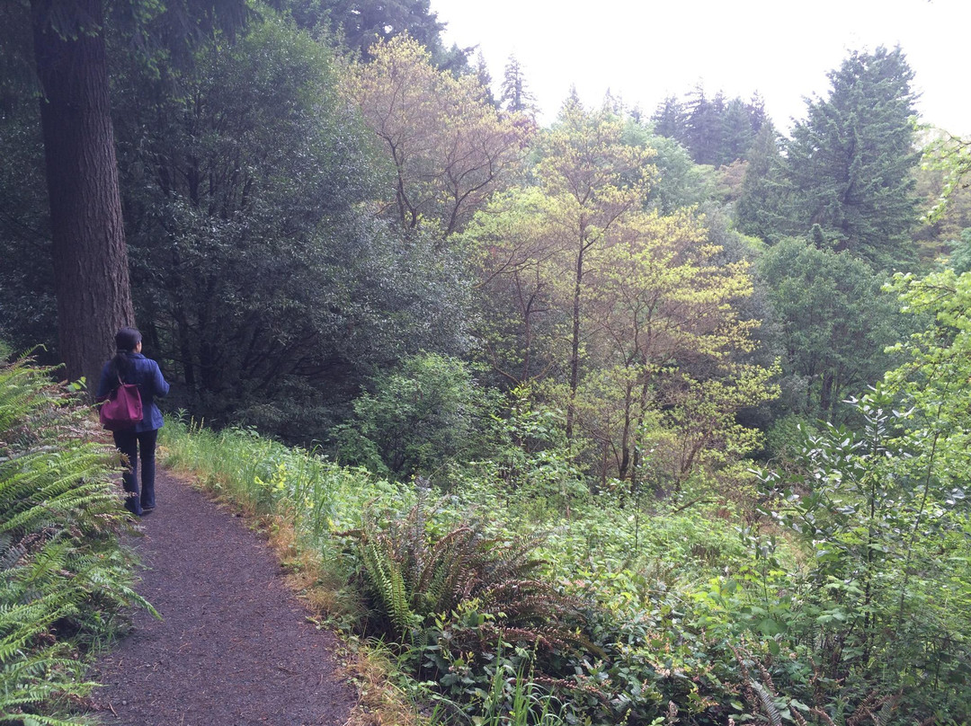 华盛顿公园-波特兰必去景点