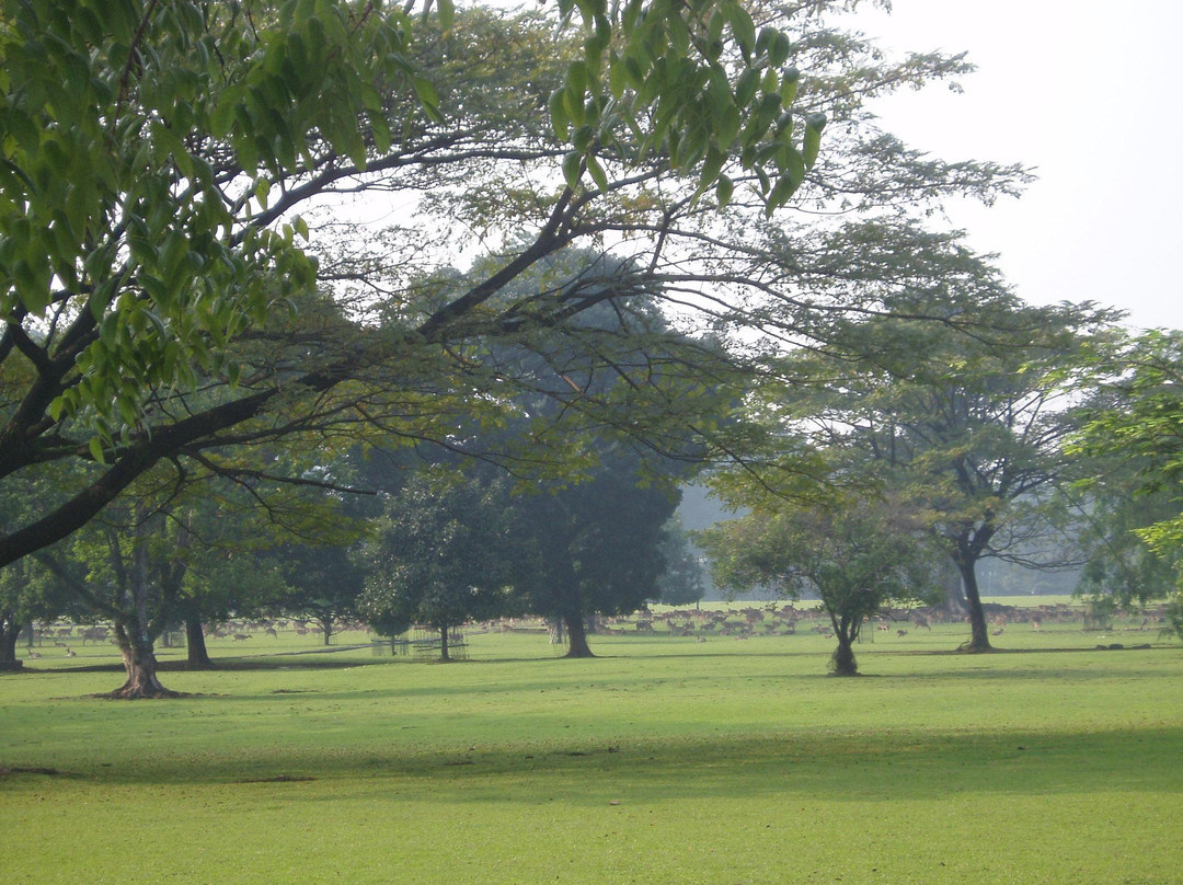 Bogor Palace-茂物必去景点