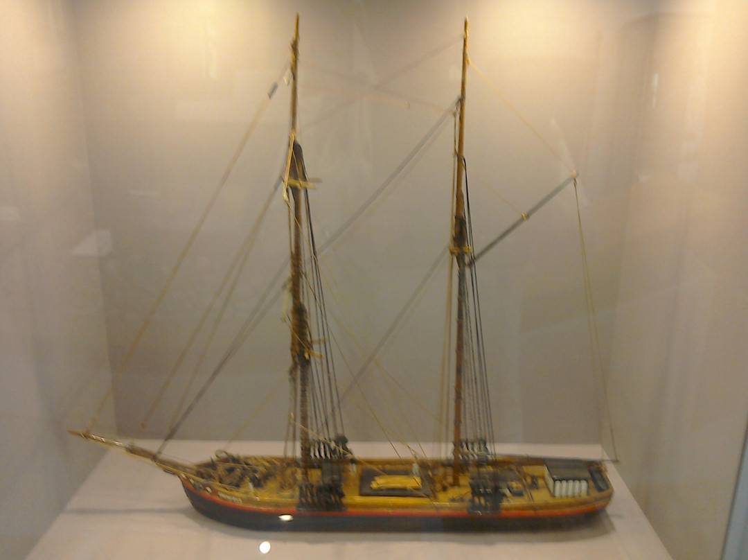 Arundel Museum景点图片