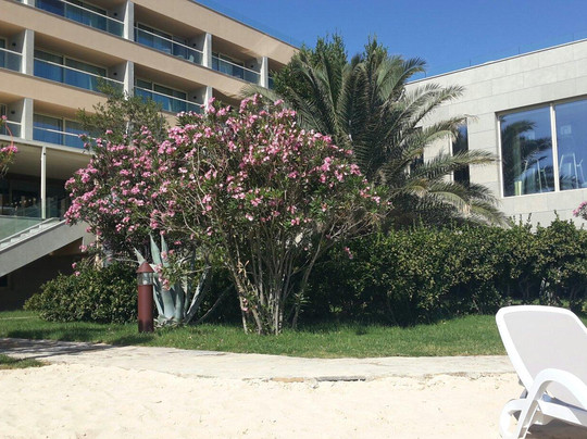 Ayvalik酒店住宿-D Resort Ayvalik