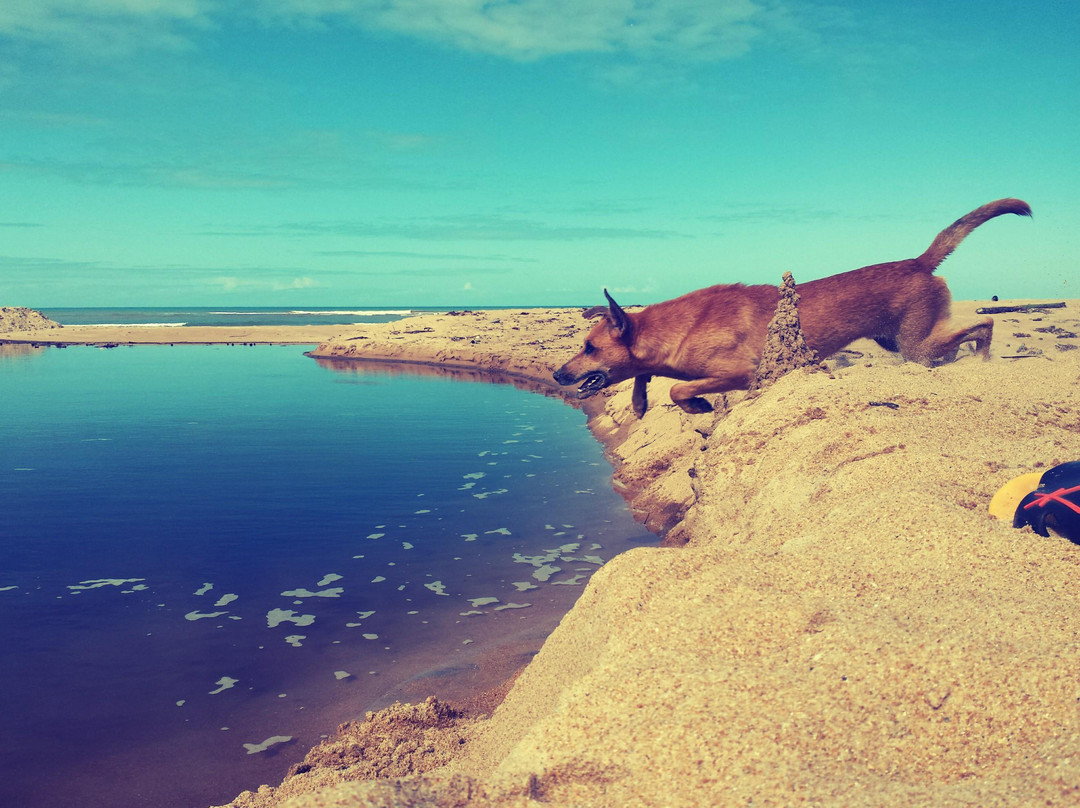 Praia das Pitas景点图片