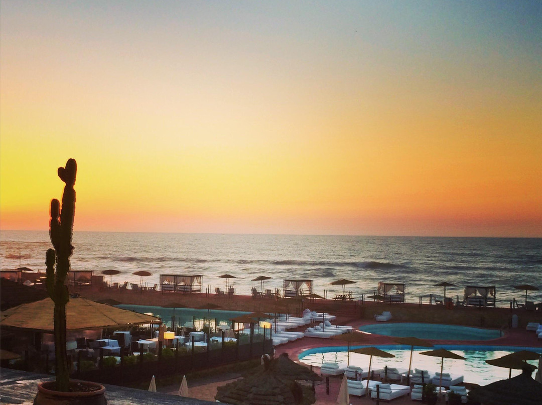 艾因迪亚卜海滩-卡萨布兰卡必去景点