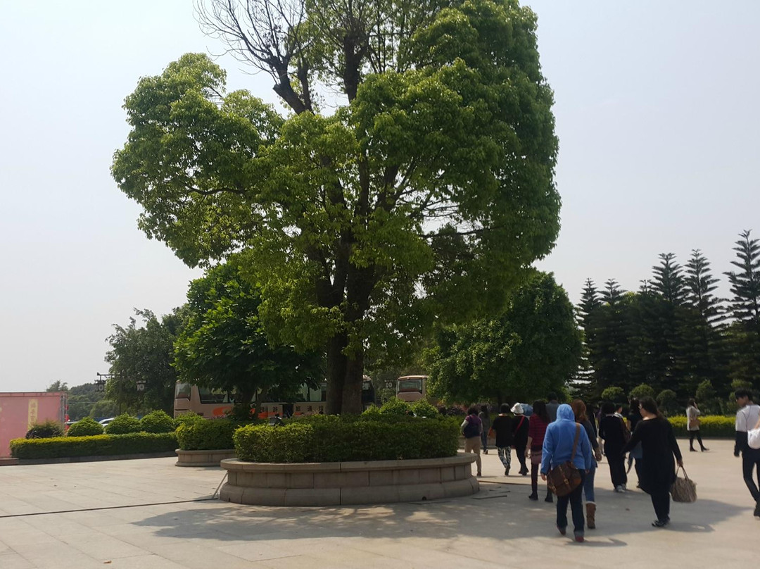 大雄禅寺-南雄市必去景点