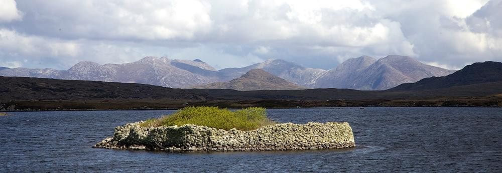 Wild Atlantic Adventures Ltd. - Day Tours景点图片