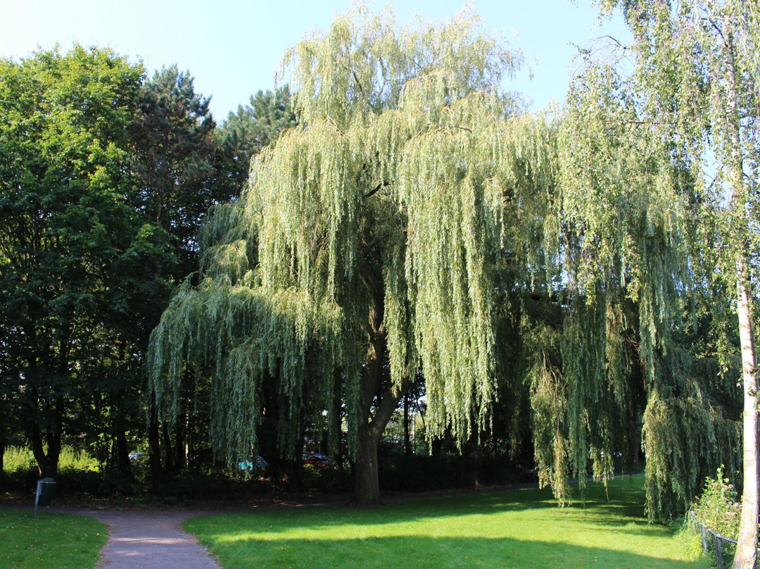 Von Fisennepark景点图片