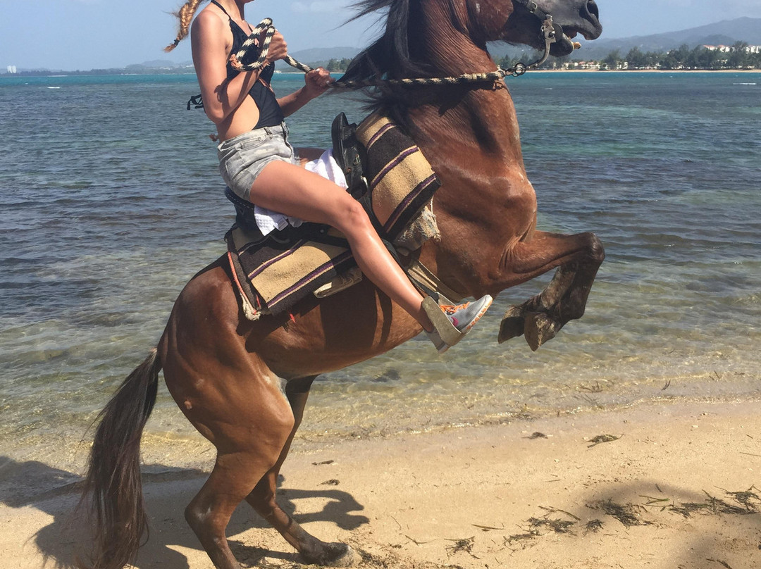 Catch a Dream Ranch-Rio Grande必去景点