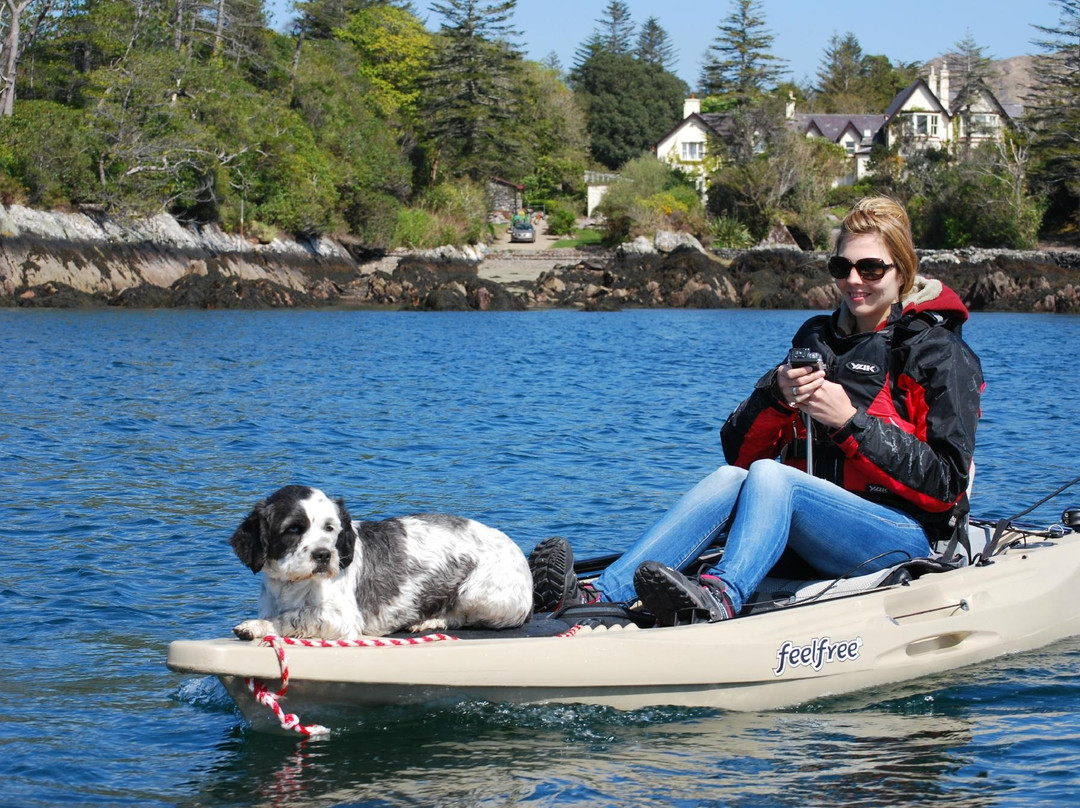 Sunfish Explorer - Motorised Kayaking Tours-Sneem必去景点