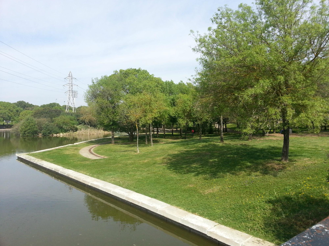 Parque del Alamillo景点图片