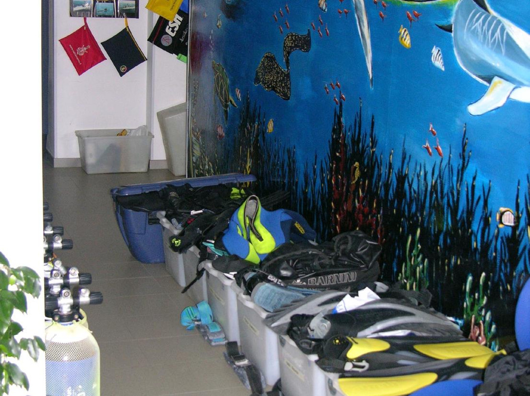 Megale Hellas Diving Center景点图片