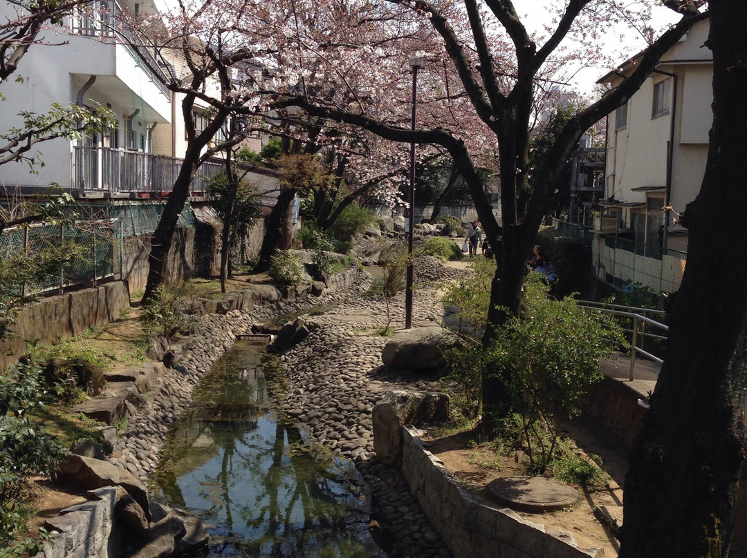 Shakuji River Green Road-板桥区必去景点