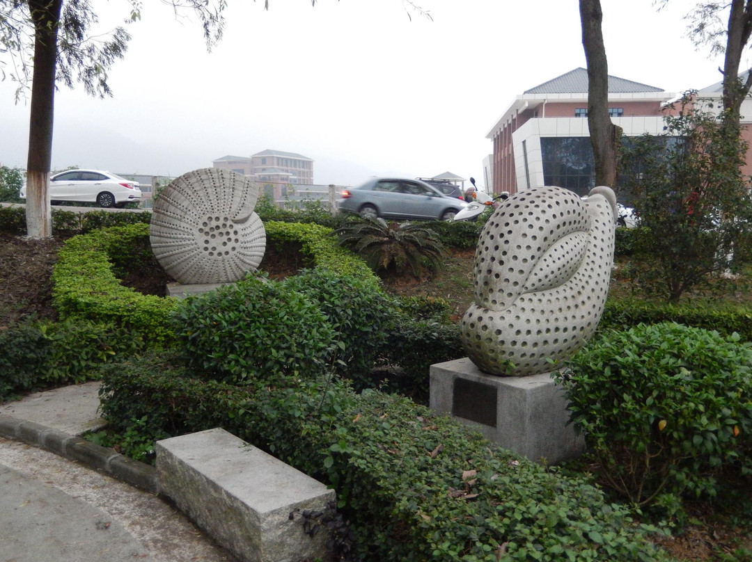 Foraminifera Sculpture Park-中山市必去景点