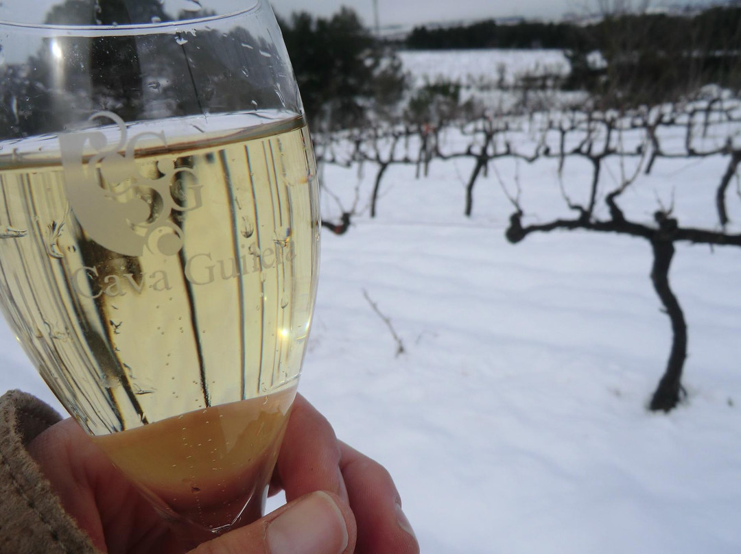 Cava Guilera-Lavern必去景点