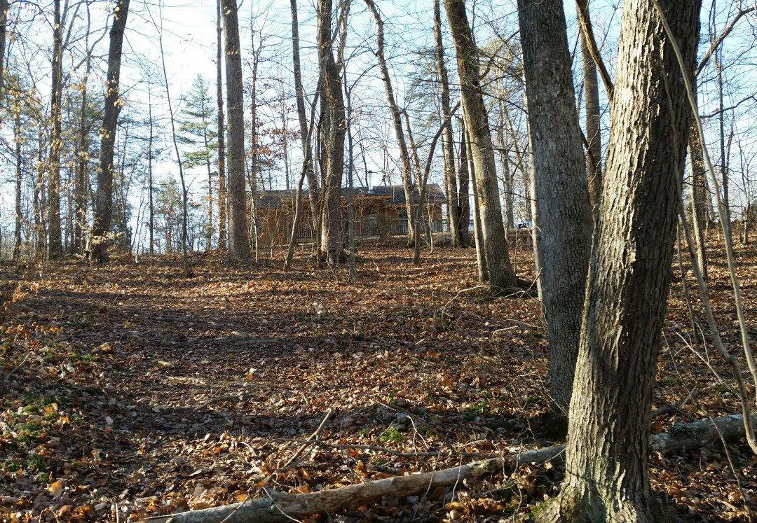 Smith Mountain Lake State Park景点图片