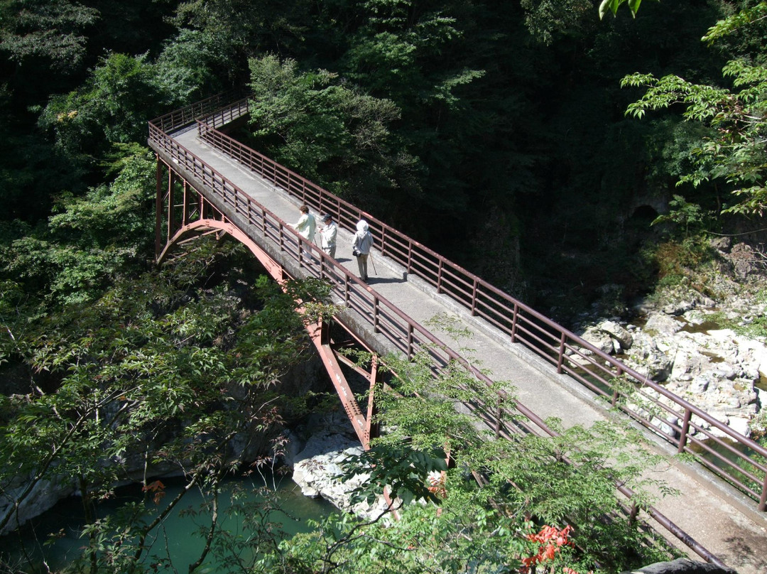 Nijimi Bridge-日光市必去景点