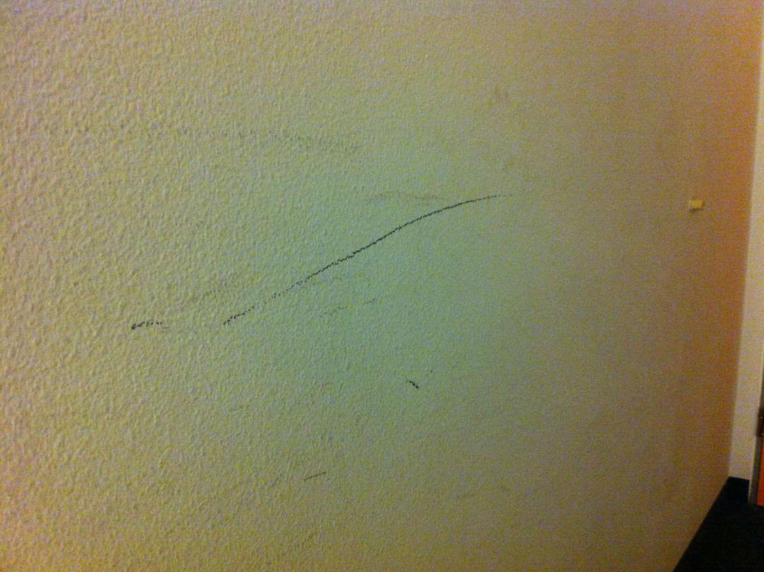 Hotel Primotel主图