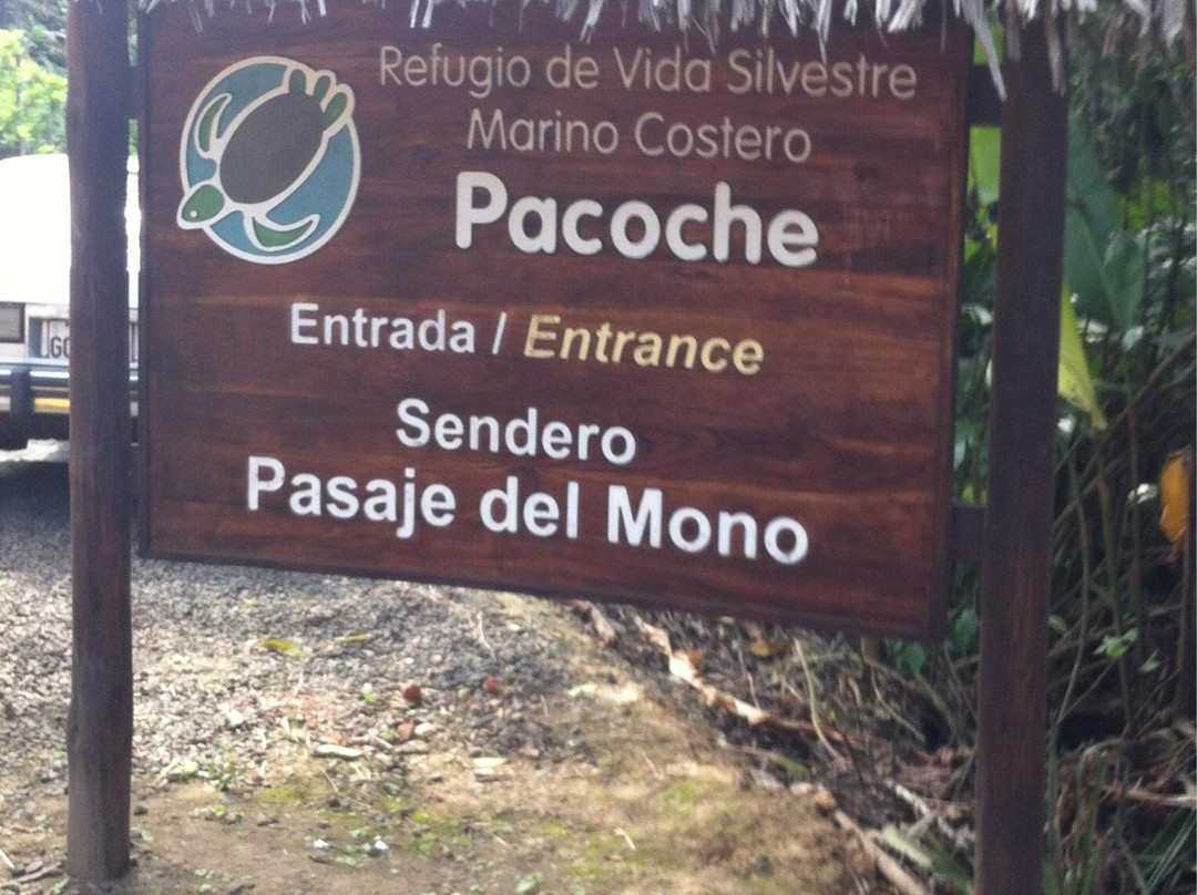 Bosque Tropical Pacoche景点图片