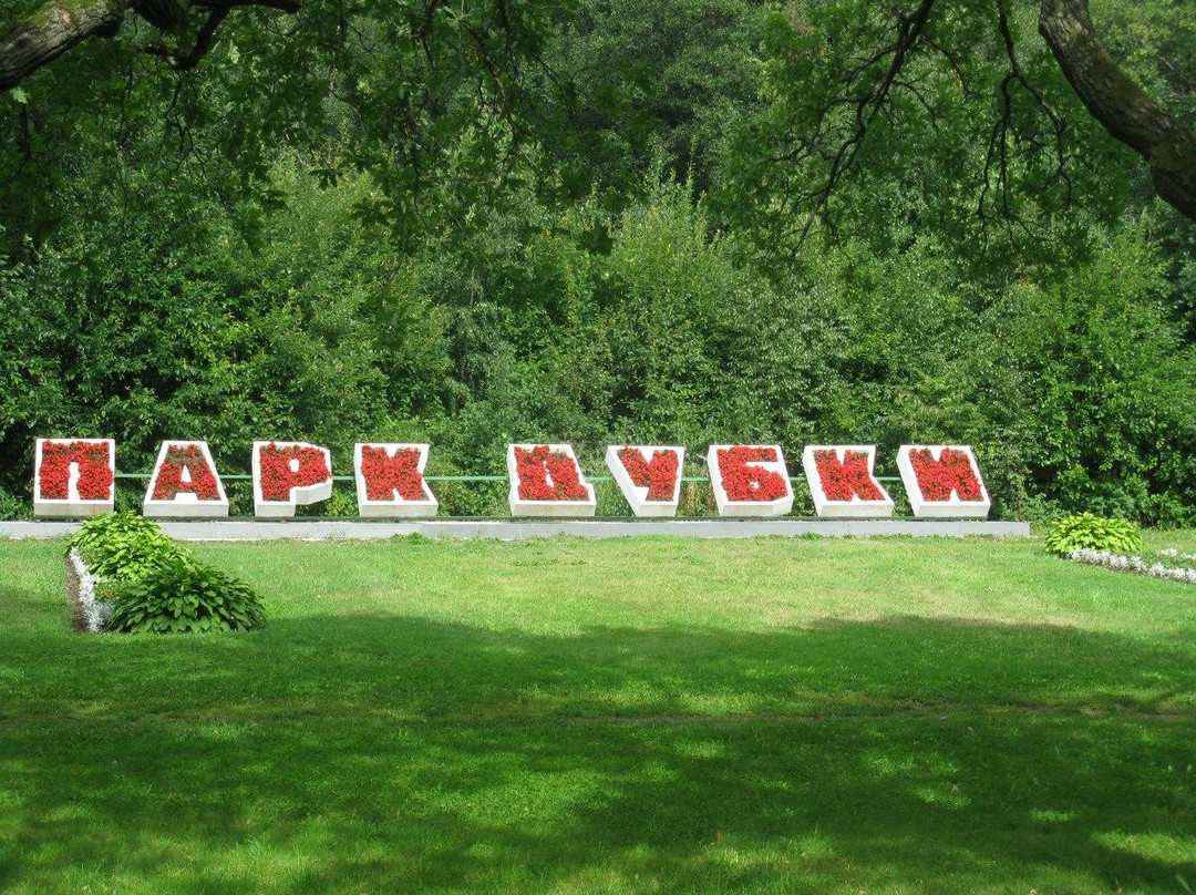 Dubki Park of Culture and Leisure景点图片