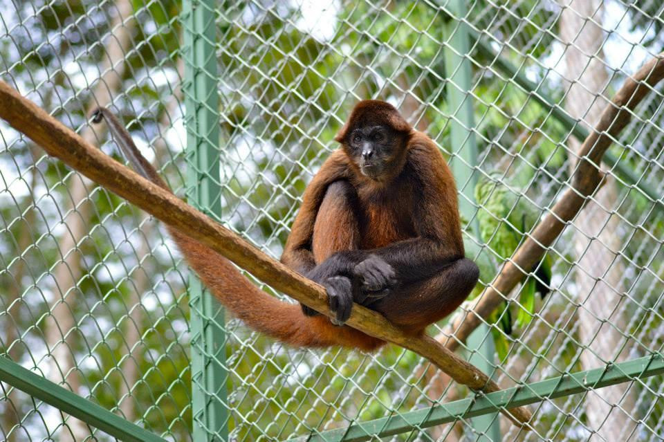 Alturas Wildlife Sanctuary-主日镇必去景点