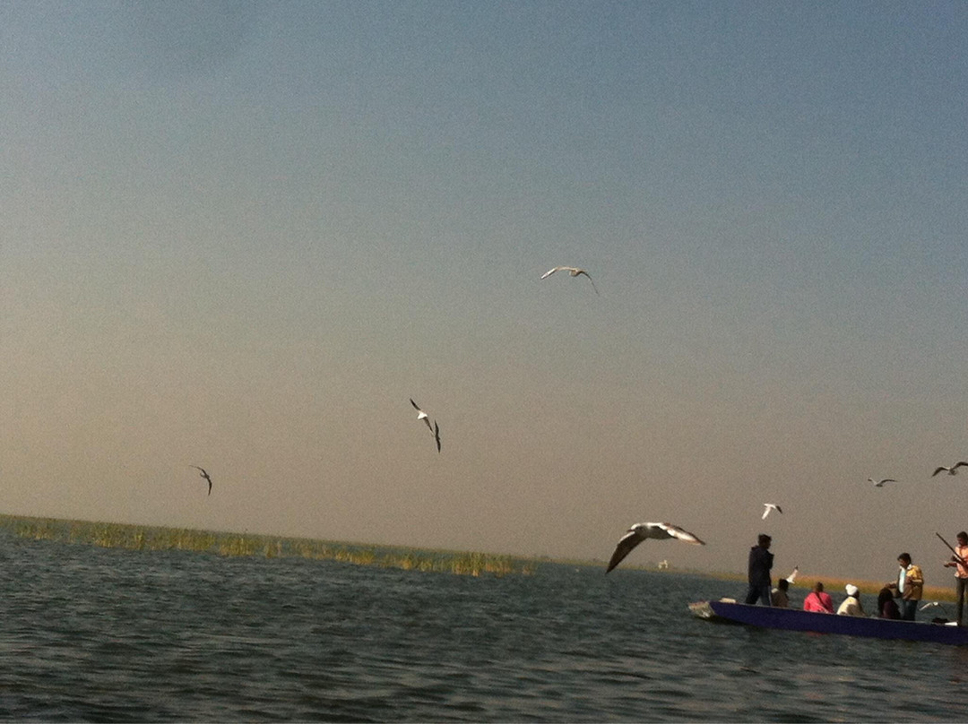 Nalsarovar Bird Sanctuary-Nalsarovar必去景点