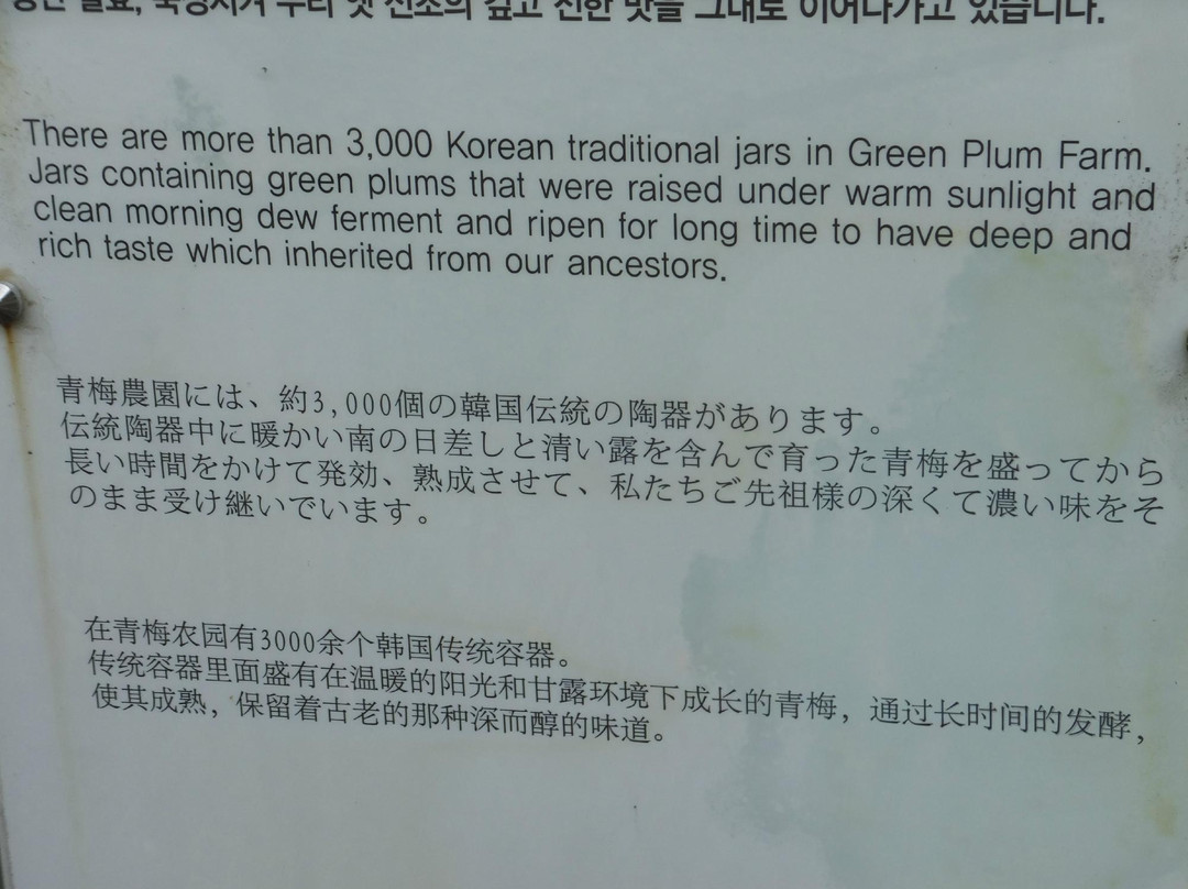 Gwangyang Maehwa Village-光阳市必去景点