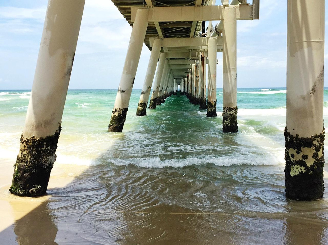 Gold Coast Bike Tours-冲浪者天堂必去景点