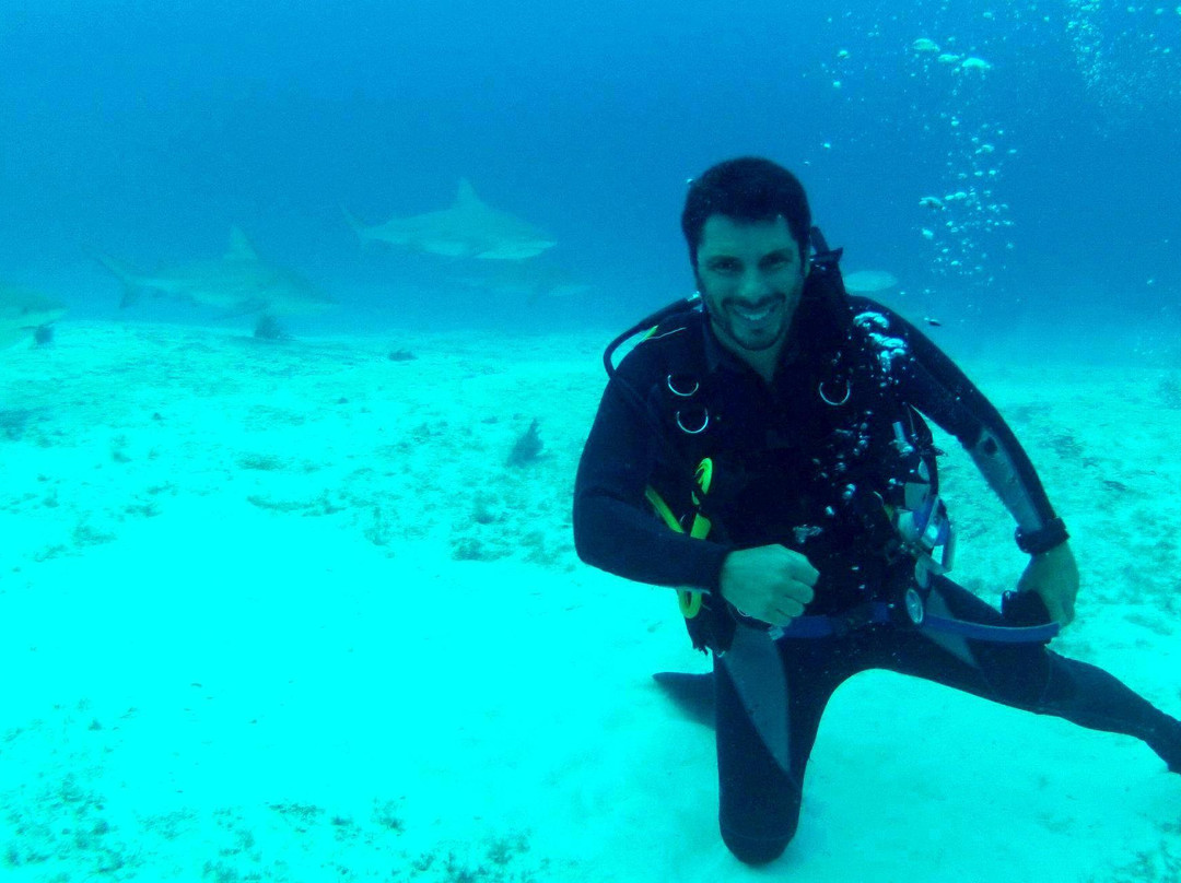 Gran Scuba Diving-里维埃拉玛雅必去景点