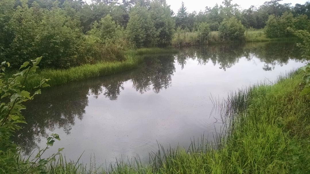 Cox Hall Creek Wildlife Management Area景点图片