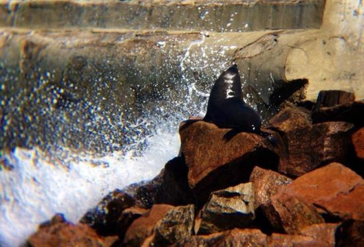 Lonsdale Eco Cruises-莱克斯恩特伦斯必去景点