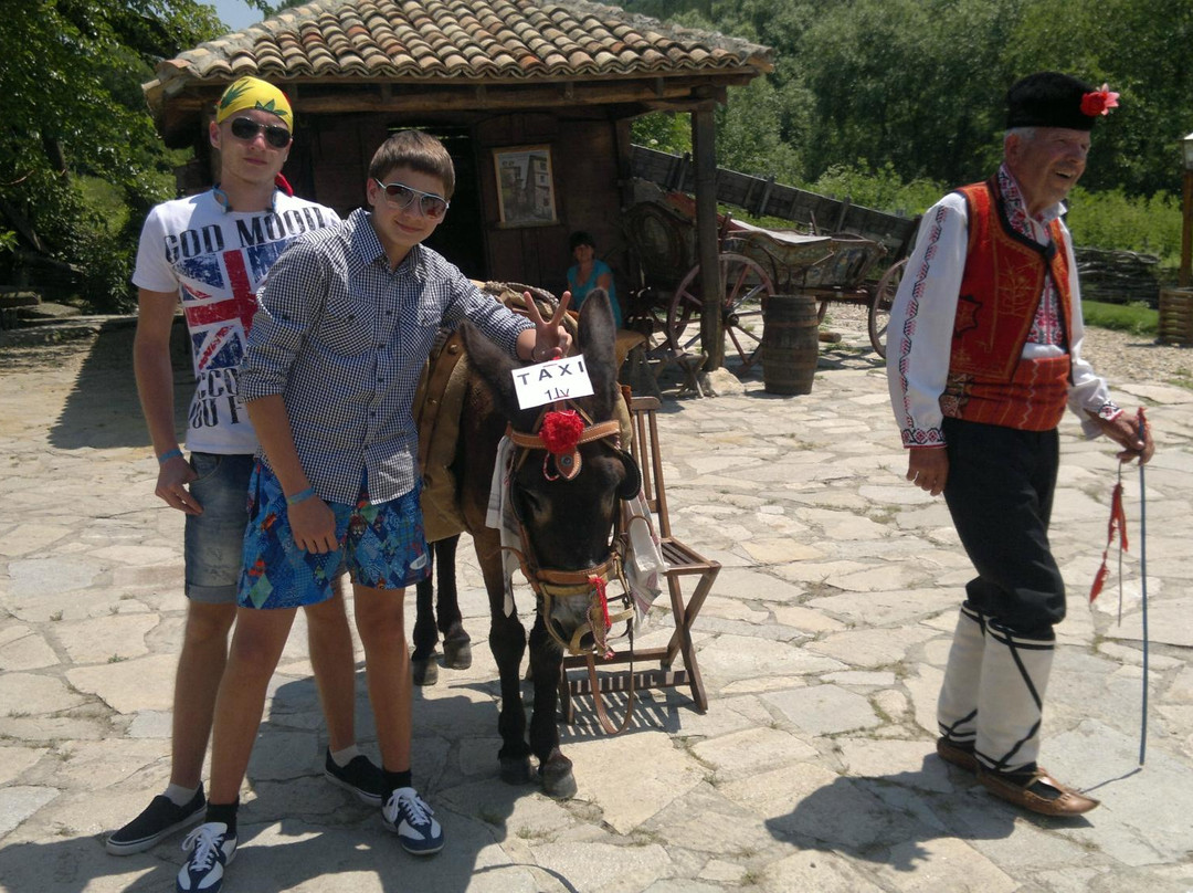 Barite Complex-瓦尔纳必去景点