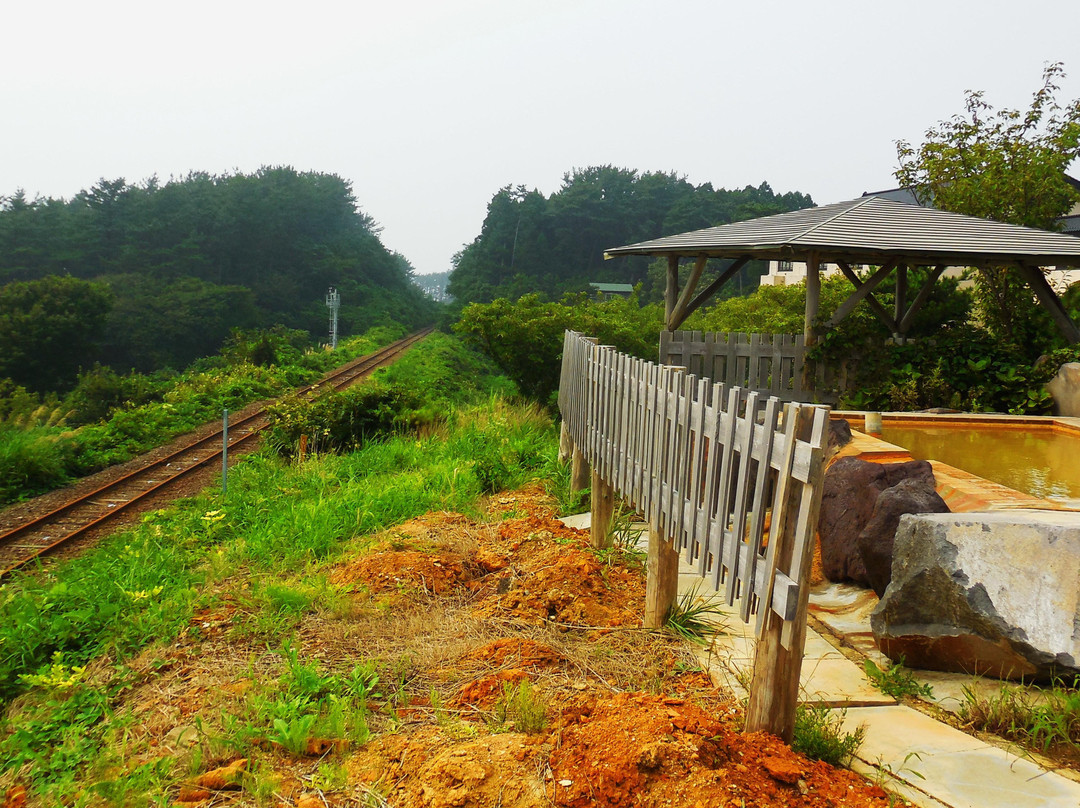 Michinoku Onsen Ryokan主图