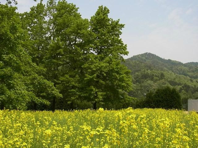 Unitopia Sasayama-丹波篠山必去景点