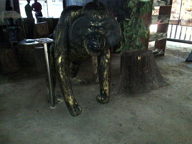 Kawasan Arboretum Nyaru Menteng-帕朗卡拉亚必去景点