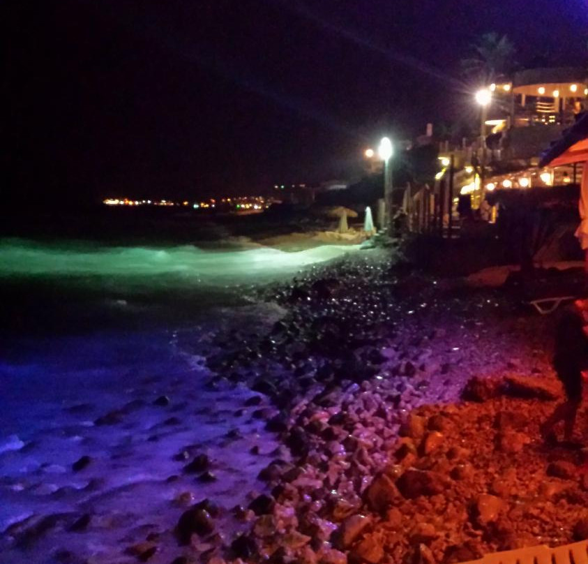 Pierre and Friends-Batroun必去景点