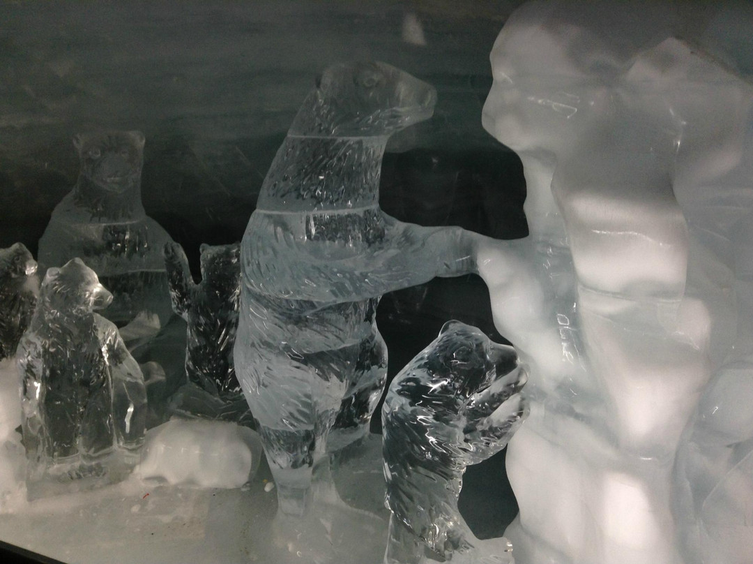 Ice Palace - Jungfraujoch-Jungfraujoch必去景点