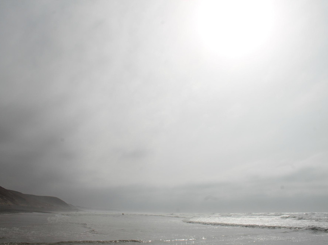 Sahara Surf-Taghazout必去景点