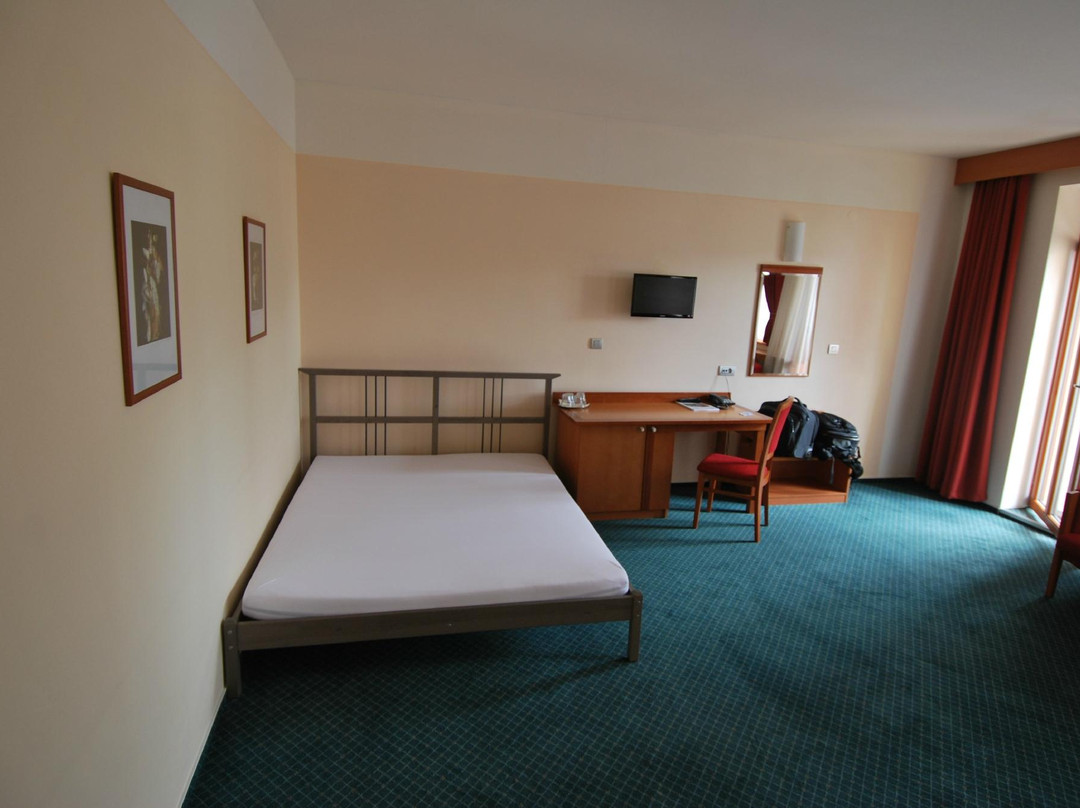 Slovan Comfort Hotel主图