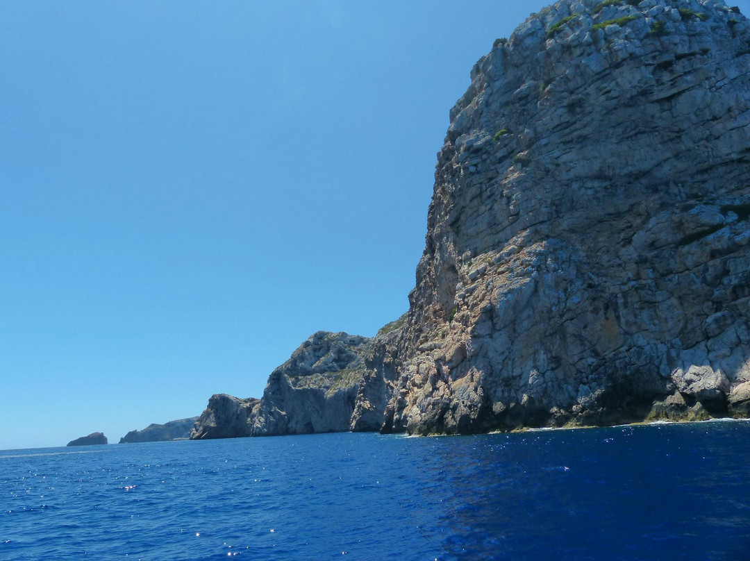 Rumbo Excursiones - One Day Tours-马洛卡帕尔马必去景点