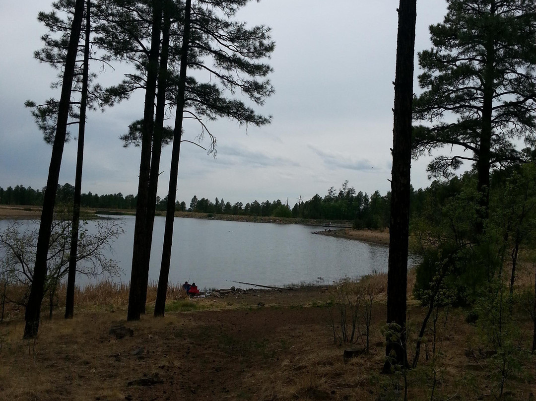 Woodland Lake Park-Pinetop-Lakeside必去景点