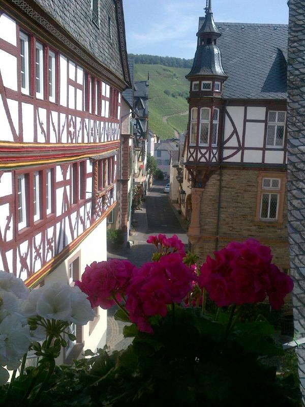 Weingut Gaestehaus Derkum-酒店景观