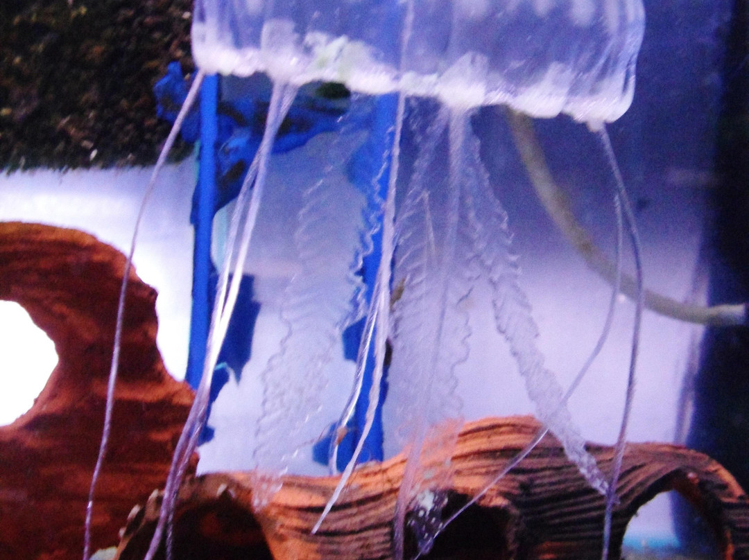 Aqua Expo景点图片