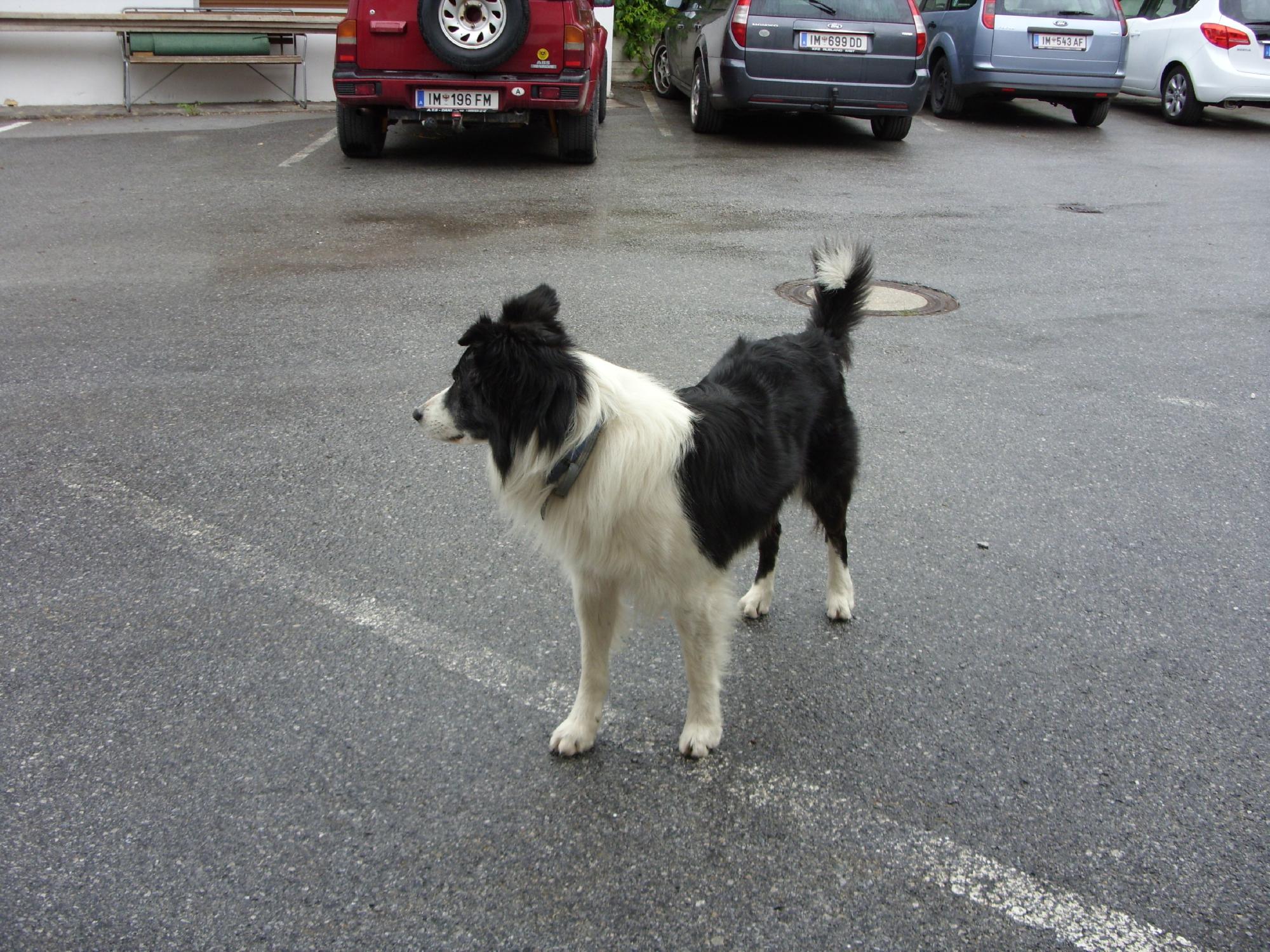 Seewald Gasthof-浴室