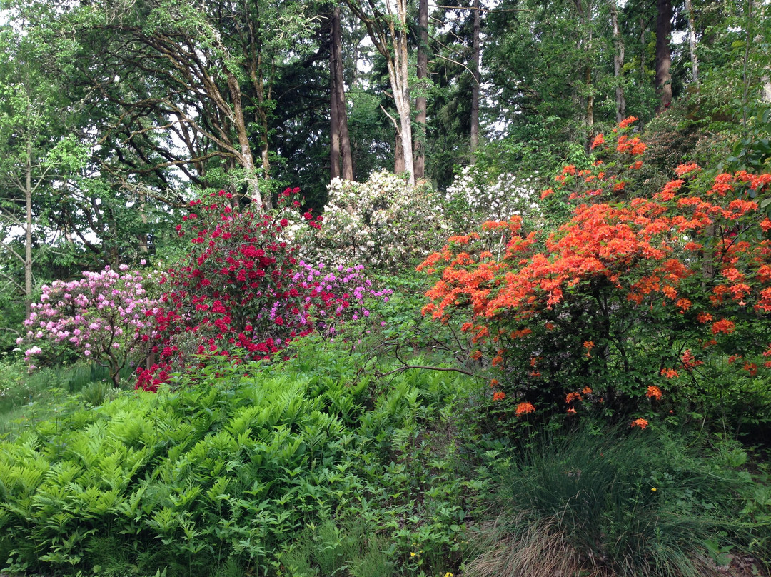 Hendricks Park-尤金必去景点