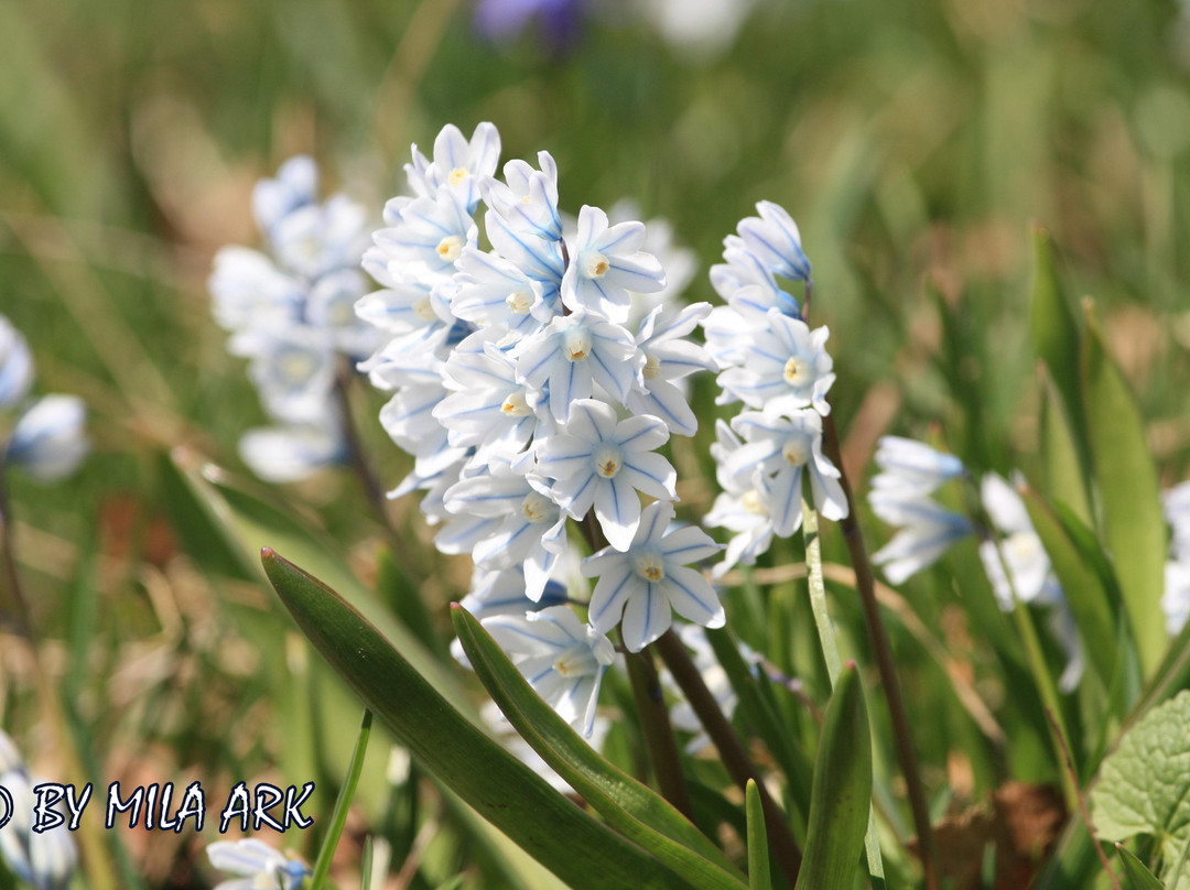 格雷蒂尔湖-多伦多必去景点