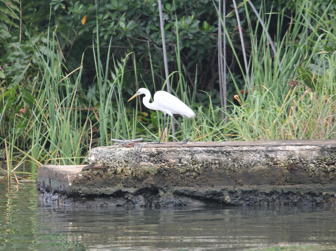 Black River-Black River必去景点