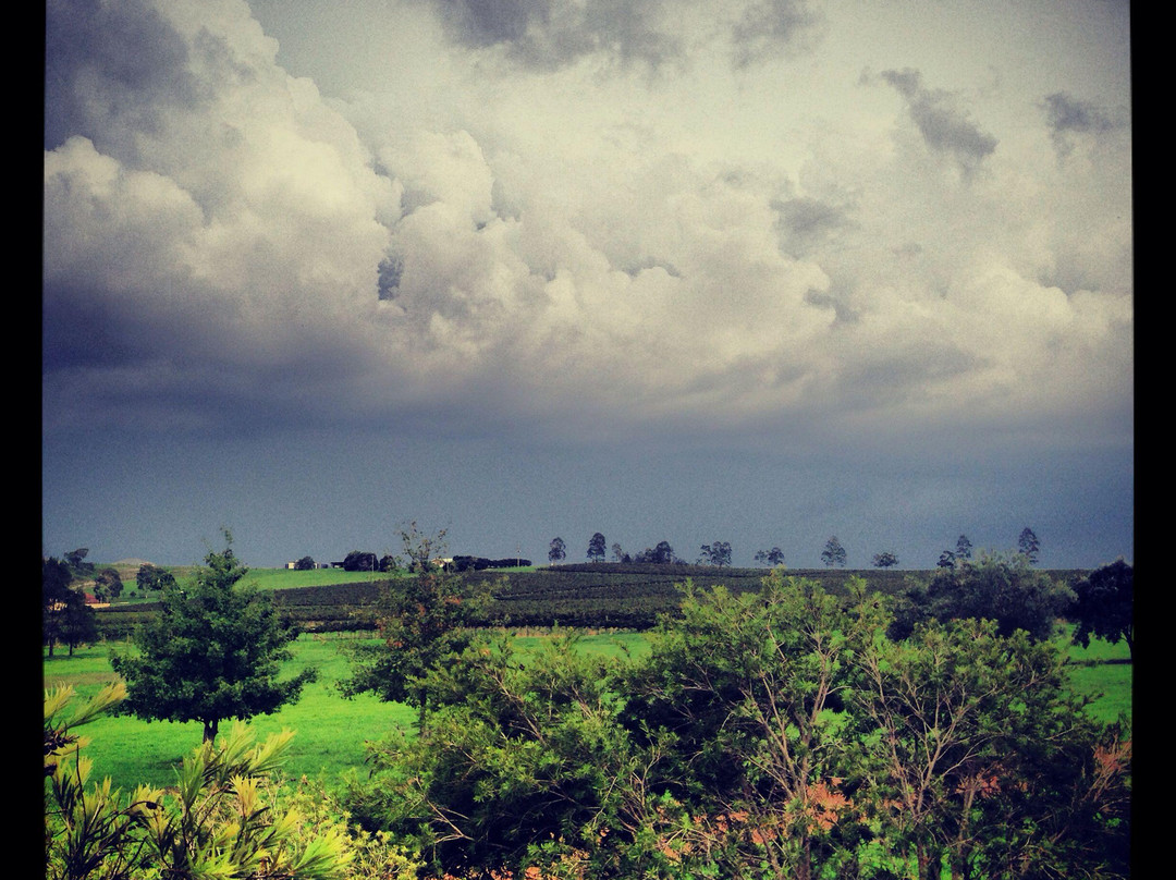 Two Rivers Wines-Denman必去景点