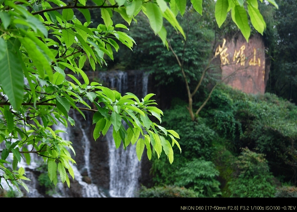 般若·莲客栈主图