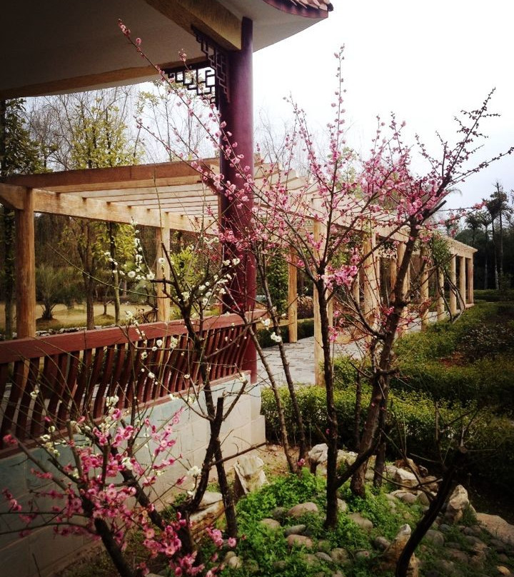 平野园林大酒店主图