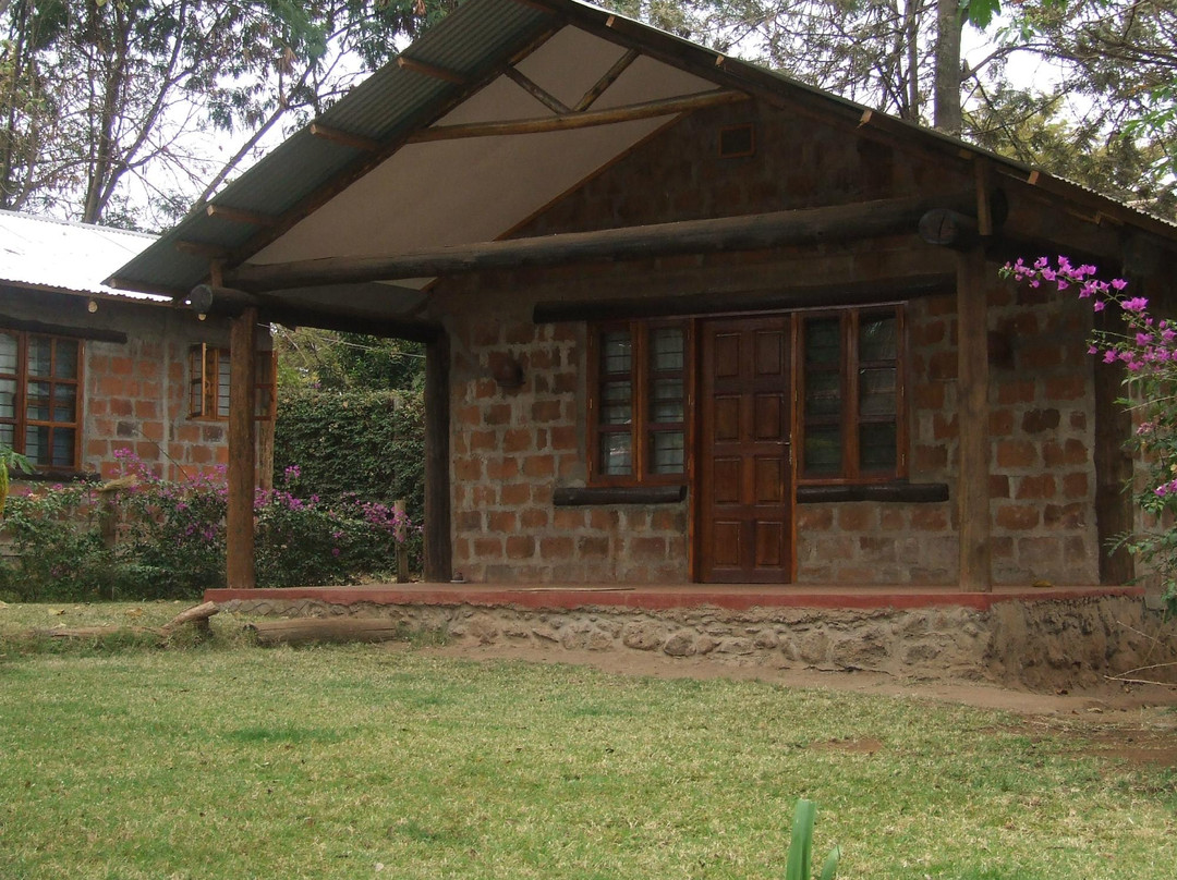 The Watering Hole Cabins
